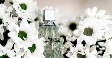 Jimmy choo 2025 green bottle