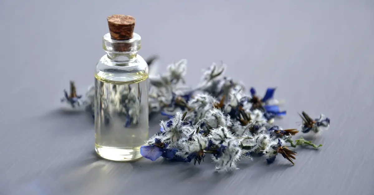 best lavender perfume with the essence of lavender